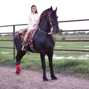 Meet your Posher, Arlette